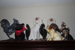 IMG_5112 IMG_5112