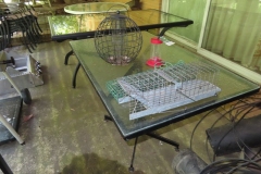 IMG_0490 IMG_0490
