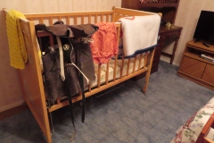 IMG_0565 IMG_0565