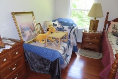 IMG_6390 IMG_6390
