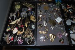 IMG_1772 IMG_1772