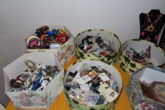 IMG_1781 IMG_1781