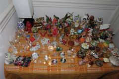 IMG_1784 IMG_1784