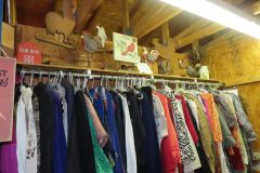 IMG_1860 IMG_1860