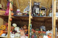 IMG_1871 IMG_1871