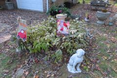 IMG_1982