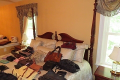 IMG_6584 IMG_6584
