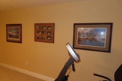 IMG_6630 IMG_6630