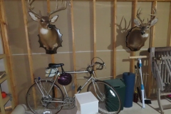 IMG_6641 IMG_6641