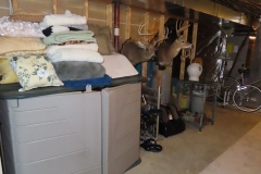 IMG_6643 IMG_6643