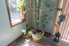 IMG_1544 IMG_1544