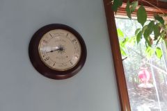IMG_1546 IMG_1546