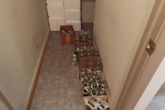 IMG_1598 IMG_1598