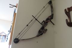 IMG_1218 IMG_1218