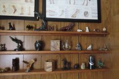 IMG_1234 IMG_1234