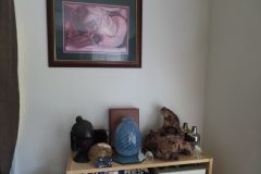 IMG_1249 IMG_1249