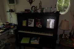 IMG_1284 IMG_1284