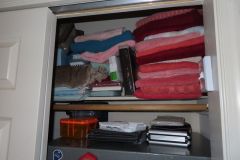 IMG_1291 IMG_1291