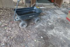 IMG_1317 IMG_1317