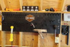 IMG_1336 IMG_1336