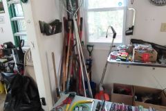 IMG_1353 IMG_1353