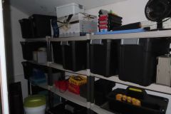 IMG_1355 IMG_1355