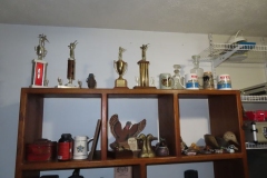 IMG_8665 IMG_8665