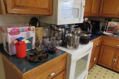 IMG_8738 IMG_8738
