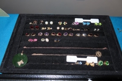 IMG_8495 IMG_8495