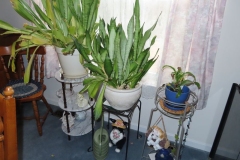 IMG_8535 IMG_8535