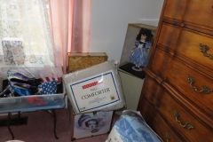 IMG_8570 IMG_8570