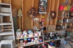 IMG_8579 IMG_8579