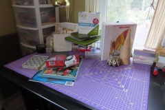 IMG_9593-Copy-2 IMG_9593-Copy-2