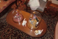 IMG_6960 IMG_6960