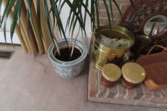IMG_1674 IMG_1674