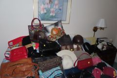 IMG_1717 IMG_1717