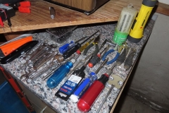 IMG_5240