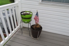 IMG_5359 IMG_5359