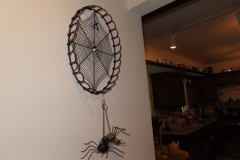 IMG_6762 IMG_6762
