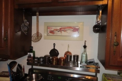 IMG_6779 IMG_6779