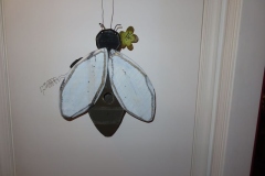 IMG_6786 IMG_6786