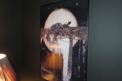 IMG_6843 IMG_6843