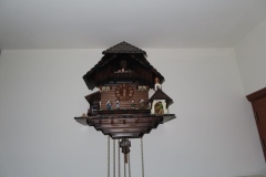 IMG_9930 IMG_9930